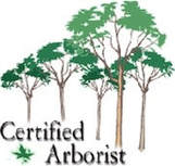 Certified Arborist Pensacola Tree